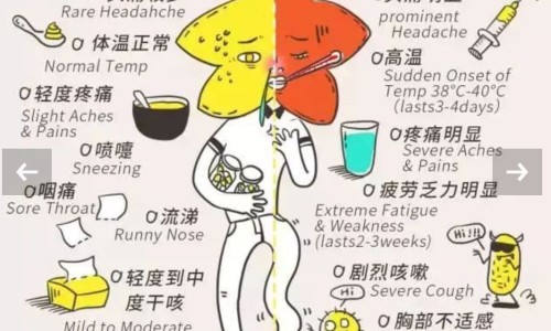 拜瑞妥和拜阿司匹林哪个好-拜瑞妥和华法林的区别网 - 网站提供拜瑞妥是拜耳的吗小常识、拜瑞妥和华法林的区别是什么