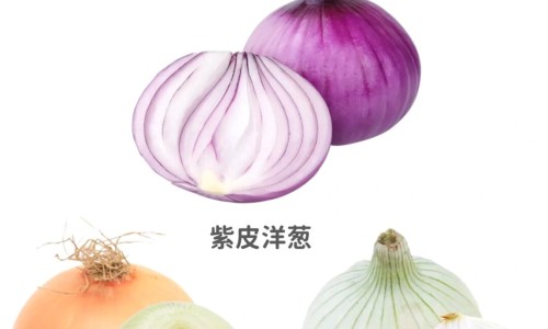 拜瑞妥和拜阿司匹林哪个好-拜瑞妥和华法林的区别网 - 网站提供拜瑞妥是拜耳的吗小常识、拜瑞妥和华法林的区别是什么