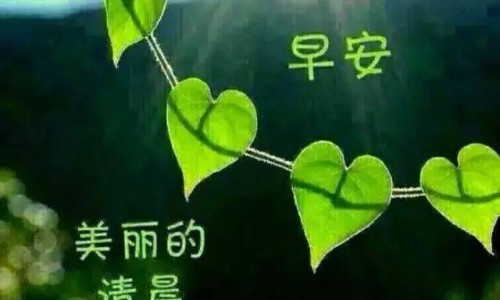 拜瑞妥是拜耳的吗-拜瑞妥和华法林的区别网 - 网站提供拜瑞妥是拜耳的吗小常识、拜瑞妥和华法林的区别是什么